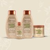 Aveeno Scalp Soothing Oat Milk Blend Shampoo - 12 fl oz - image 4 of 4