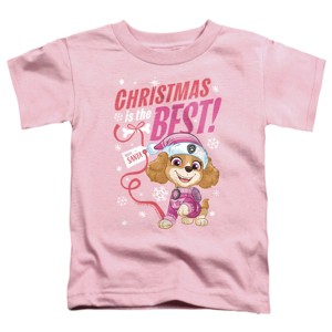Toddler Boys' Paw Patrol Skye Christmas Is The Best T-Shirt - 1 of 4