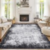 Area Rug Washable, Soft Modern Bordered Abstract Rugs for Living Room Bedroom, Low Pile Non-Slip Foldable Throw Rug Carpet for Dining Room Home - 2 of 4