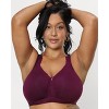 Curvy Couture Women's Cotton Luxe Unlined Wireless Bra Purple Velvet 38h :  Target