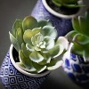 Sullivans Artificial 4" Succulents In Printed Pots - Set of 3 - 2 of 3