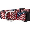 Country Brook Petz Deluxe Dog Collar - Americana Collection - Made In The U.S.A. - 4 of 4