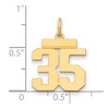 Black Bow Jewelry 14k Yellow Gold, Athletic Collection, Small Polished Number 35 Pendant - 2 of 3
