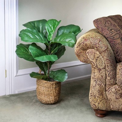36" Green Faux Fiddle Leaf Fig Plant in Woven Basket