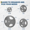 Cast Iron Weight Plates Set 1 Inch, 2.5 Lbs/5 Lbs/10 Lbs/25 Lbs Bumper Plates for Home Gym, Strength Training & Weightlifting (Single,Pairs,Sets) - 3 of 4