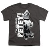 Boys' Short Sleeve Little Rascals Amazing Petey T-Shirt - 2 of 4