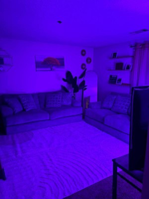 Guest review image 1 of 2, zoom in