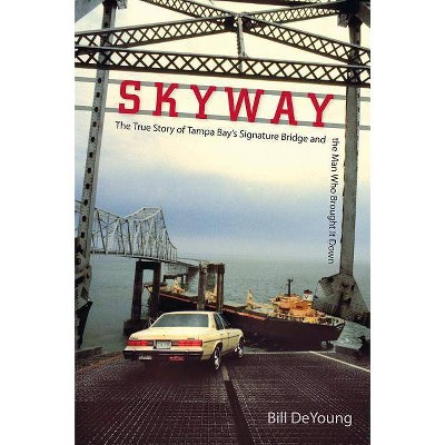 Skyway - by  Bill DeYoung (Paperback)