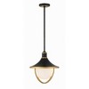 Crystorama Lighting Atlas 3 - Light Pendant in  Matte Black/Textured Gold - 4 of 4