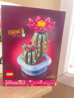 teracotta plant pots Rose Planter