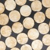 Saro Lifestyle Capiz Disc Placemat (Set of 4) - 4 of 4