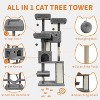 Acekool 66" Large Cat Tree Tower for Big Cats, Multi-Level Activity Center with Spacious Condos, Hammock, Sisal Posts, Perches & Hanging Balls - 2 of 4