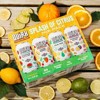 Quirk Spiked and Sparkling Citrus Mixed Hard Seltzer - 12pk/12 fl oz Cans - 2 of 3