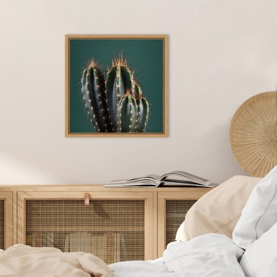 Green and Brown Framed Cactus Canvas Wall Art 16 x 16-in.