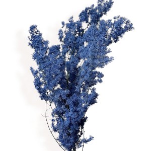 Alilang Decorative Dried Fine Leaf Stems for Home Decoration and Floral Arrangements, 17.7 Inches - 1 of 3