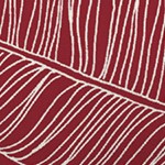 red leaf palm