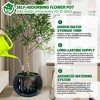Dia Round Self-Watering Planter (10" Pot Opening) with Drainage & Water Monitor - 3 of 4