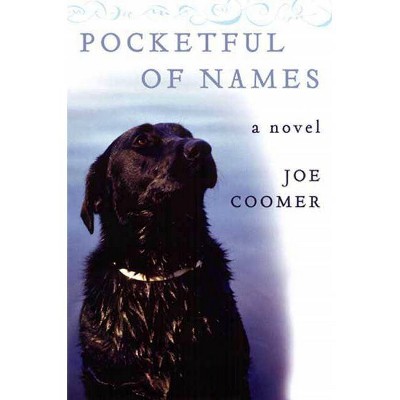 Pocketful of Names - by  Joe Coomer (Paperback)