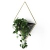Trigg Wall Display Planter - Umbra - 4 of 4