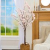The Lakeside Collection Cherry Blossom Lighted Table Tree Garland 2 Branches Or 48 Inch Tree - 48" Cherry Blossom Tree - 3 of 3