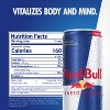 Red Bull Energy Drink - Energy Drink - 12 fl oz Can - 2 of 4
