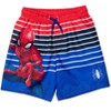Marvel Spider-Man Pullover Rash Guard and Swim Trunks Toddler to Big Kid - 3 of 4