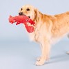 PetShop by Fringe Studio You're My Lobster Plush Dog Toy - 2 of 4