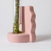 Savvy Pink - Good Little Garden™ - 3 of 4