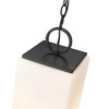 Sana Collection Outdoor Pendant Light - Black Aluminum, 3 Bulbs, Dimmable, 96" Chain - 4 of 4