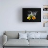 Mogyorosi Stefan 'Citrus Splash' Canvas Art - 2 of 4