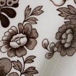 american quarter horse