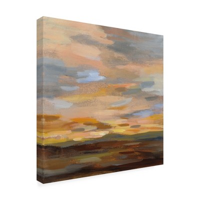 Trademark Fine Art -Silvia Vassileva 'High Desert Sky III' Canvas Art