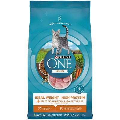 burns kitten food