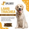Dog Chits Lamb Trachea Dog Chews | 100% Single Ingredient | High Protein | Low Fat - 2 of 4