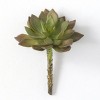 Sullivans Artificial Echeveria Succulent Pick 5.5"H Green - 2 of 2