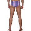 Lars Amadeus Men's Elastic Waist Contrast Color Stripe Printed Swim Briefs 2 Pcs - 3 of 4