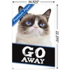 Trends International Grumpy Cat - Go Away Unframed Wall Poster Prints - 3 of 4
