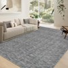Runner Rug for Bedside Machine Washable Non-Slip Low Pile Accent Carpet Modern Abstract Rug No-Shedding Hallway Indoor Carpet - 2 of 4