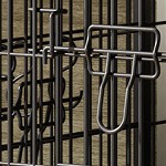 strengthen pine gray + black