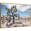 Amanti Art 41"x28" Yucca by Shot by Clint Framed Canvas Wall Art - 2 of 4