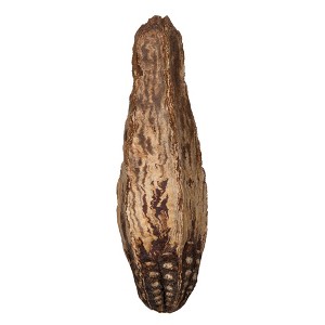 Vickerman Natural Botanicals 2.8" Mahogany Pods, Natural. Includes 100 pieces per unit - 1 of 4
