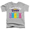 Easter These Are My Peeps Kids T Shirt for Toddlers, Athletic Heather - 2 of 4