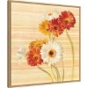 Amanti Art Dancing Gerberas on Stripes by Danhui Nai Framed Canvas Wall Art - 3 of 4