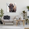 Stupell Industries American Bison Photography Canvas Wall Art - 2 of 4