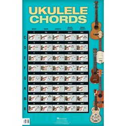 Hal Leonard Play Ukulele Today! Starter Pack - Includes Levels 1 & 2 ...