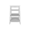 Depot E-Shop Cabinet 29.7H", Four Shelves, Vertical - 4 of 4