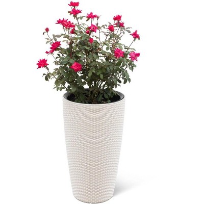 Weave Self-Watering Round Tall Planter, 12-1/2 Inch - Gardener's Supply Company