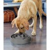 Outward Hound Fun Feeder Slo-Bowl For Dogs - L - Gray - 2 of 3