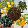 Soil Sunrise Citrus Tree Potting Soil Mix, for Indoor Oranges, Lemons, Limes and More - 3 of 4