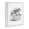Stupell Industries Sandpiper Pair on Sandy Beach, 17" x 17" - 3 of 4